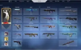 Conta VALORANT, Várias skins