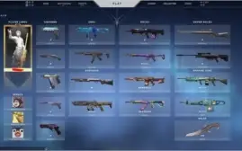 Conta VALORANT, Várias skins
