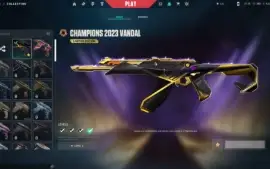Conta Valorant | Bundle Vct 2023 | Platina 2