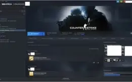 CONTA PRIME CSGO - AK X