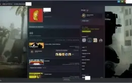 CONTA PRIME CSGO - AK X