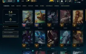 Mestre com 45 Champs e 10 Skins