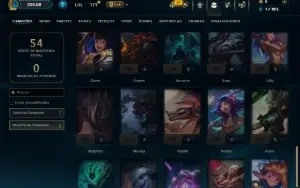 Mestre com 45 Champs e 10 Skins