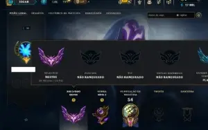 Mestre com 45 Champs e 10 Skins