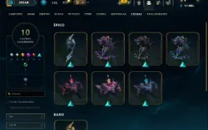 Mestre com 45 Champs e 10 Skins