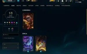 Mestre com 45 Champs e 10 Skins