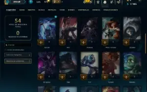 Mestre com 45 Champs e 10 Skins