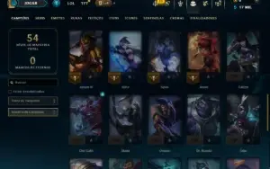 Mestre com 45 Champs e 10 Skins