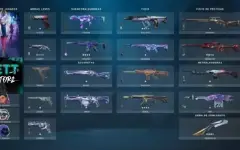 Conta Valorant Nfa - Com Skins (Entrega Imediata)