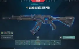 Conta Valorant com muitas skins (melhor preço)