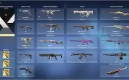 *Conta de Valorant* 2000 reais gastos