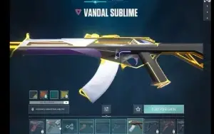 Conta de valorant com diversas skins