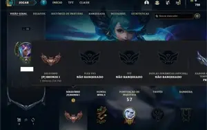 Conta bronze 1 com 23 Champs e 3 Skins + 6 Espolios