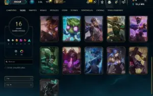 Mestre com 60 Champs e 16 Skins ( 35 PDL )