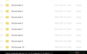 Série Animado Os Padrinhos Mágicos