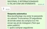 Robô de vendas, mensagem automática no PV do whatsapp