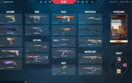 Conta Valorant Com Muitas Skins Ex Radiante