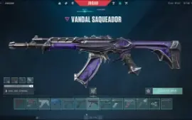 Valorant R$3580 Investidos