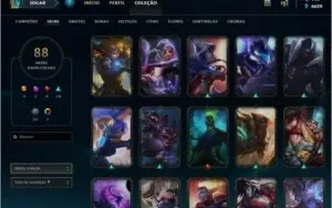 Borda D5 - 88 Skins ( BARATO )