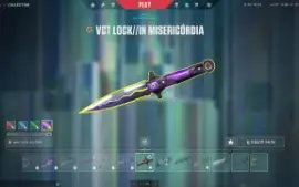 Conta Valorant Radiante Full Acesso Muita Skin Mmr Radiante
