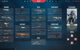Conta Valorant Radiante Full Acesso Muita Skin Mmr Radiante