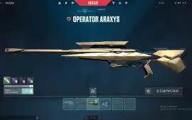conta valorant 5 mil reais gastos rank radiante