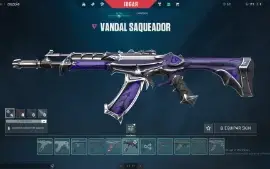 conta valorant 5 mil reais gastos rank radiante