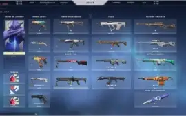 Vendo conta valorant d2 full skin.