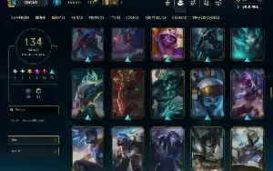 Bronze 4 com TODOS os champs e 134 Skins ( ADC / SUP / TOP )