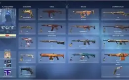 CONTA VALORANT C/ SKINS