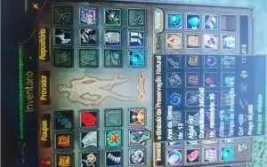 Mago nivel 102