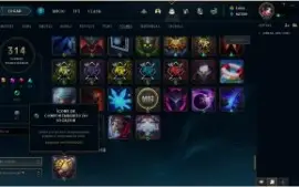 250 SKINS,  1434 DE RP. ICONES E SKINS UNICAS DESSA CONTA