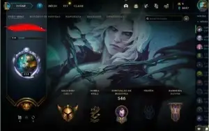 conta lol Skin e icones de 2013 (raros e full champ)