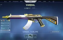 CONTA VALORANT PLAT / VARIAS SKINS
