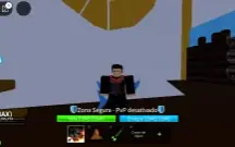 Conta Blox Fruits LVL Max [PROMOÇÃO!!!]