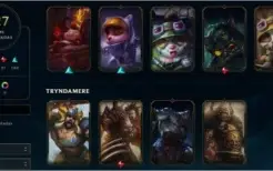 acc d4 427 skins