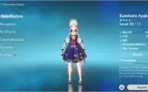 [AR55] AYAKA E HU TAO