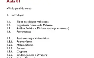 Oys: Engenharia Reversa e Análise de Malwares
