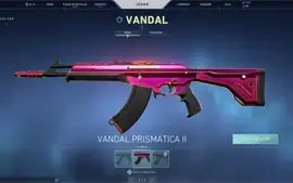 Conta Valorant ( Não verificada )