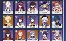 Raiden, Xiao, Kokomi, Keqing, Qiqi 5⭐