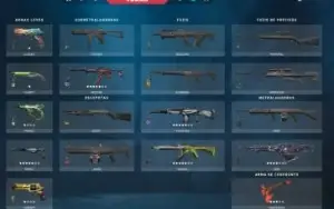 CONTA LOL/VALORANT 694 GASTOS