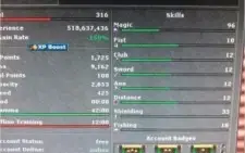 Sorcerer 300+ PvP