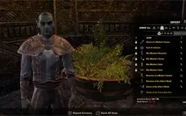 Elder Scroll Online - Conta CP 600 - Blackwood