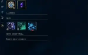 Conta League Of Legends 95k Rp Em Skins (só Skins Top)