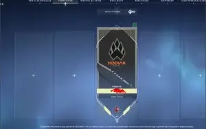 Conta Valorant +1100 gastos muitas skins