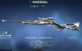 Conta Valorant +1100 gastos muitas skins