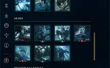 CONTA DIAMANTE 3 - 142 SKINS - TODOS OS CAMPEÕES