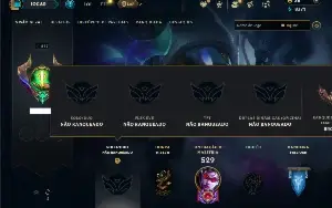 Unranked com 115 Champs e 81 Skins + 700 Espolios
