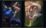 Conta Platina