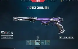 Valorant +2.900K Full Acesso